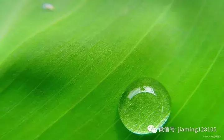 家居建材联盟营销,家居建材联盟最新活动