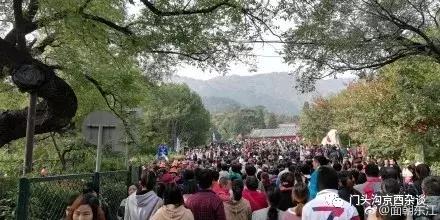 早知何必去香山,早知三清山何必去黄山