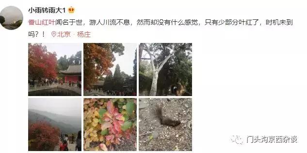 早知何必去香山,早知三清山何必去黄山