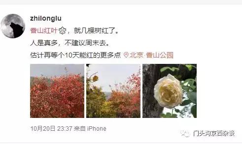 早知何必去香山,早知三清山何必去黄山