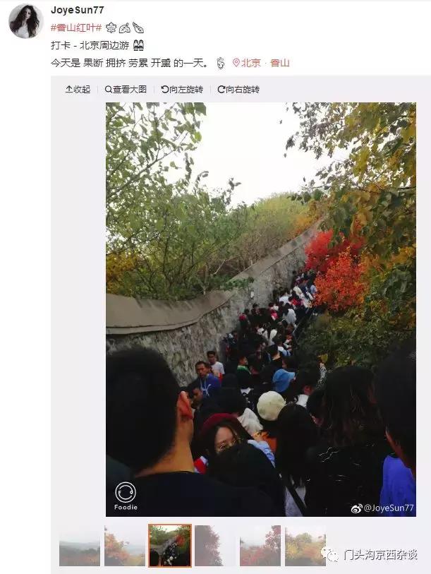 早知何必去香山,早知三清山何必去黄山