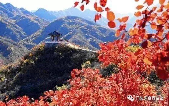 早知何必去香山,早知三清山何必去黄山