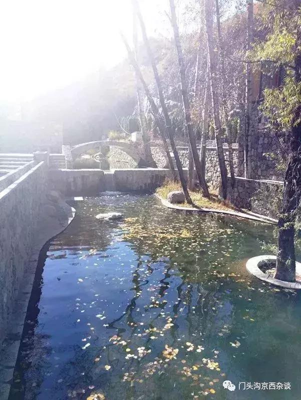 早知何必去香山,早知三清山何必去黄山