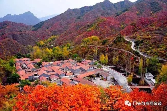 早知何必去香山,早知三清山何必去黄山