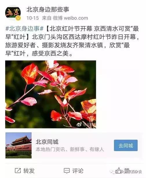 早知何必去香山,早知三清山何必去黄山