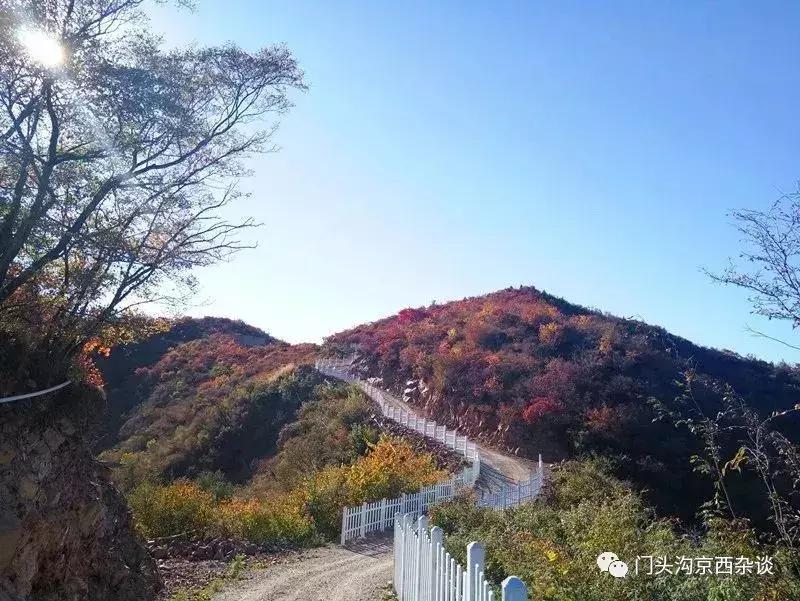 早知何必去香山,早知三清山何必去黄山