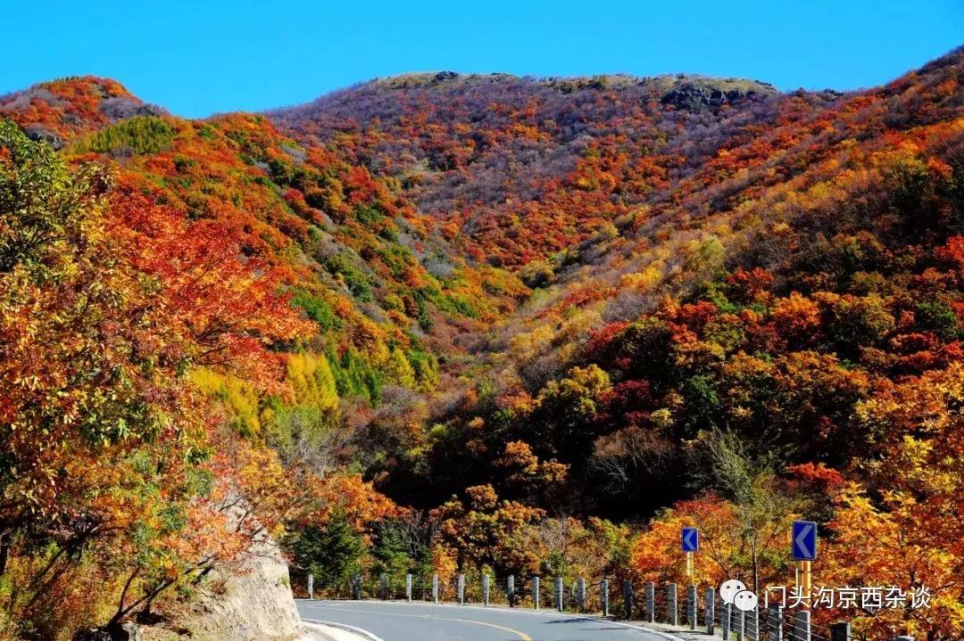 早知何必去香山,早知三清山何必去黄山