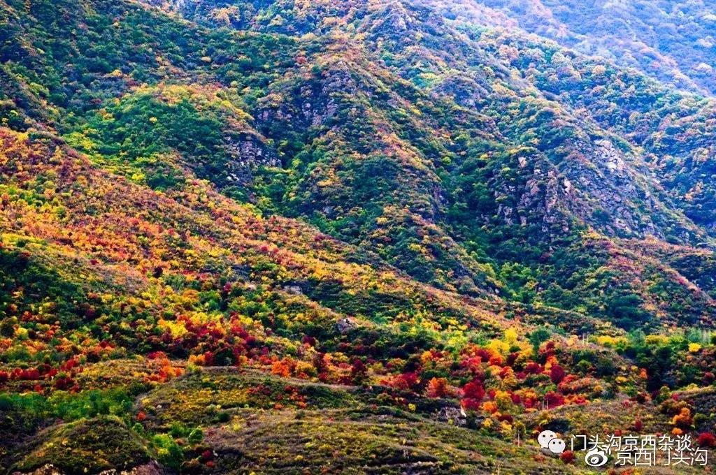 早知何必去香山,早知三清山何必去黄山