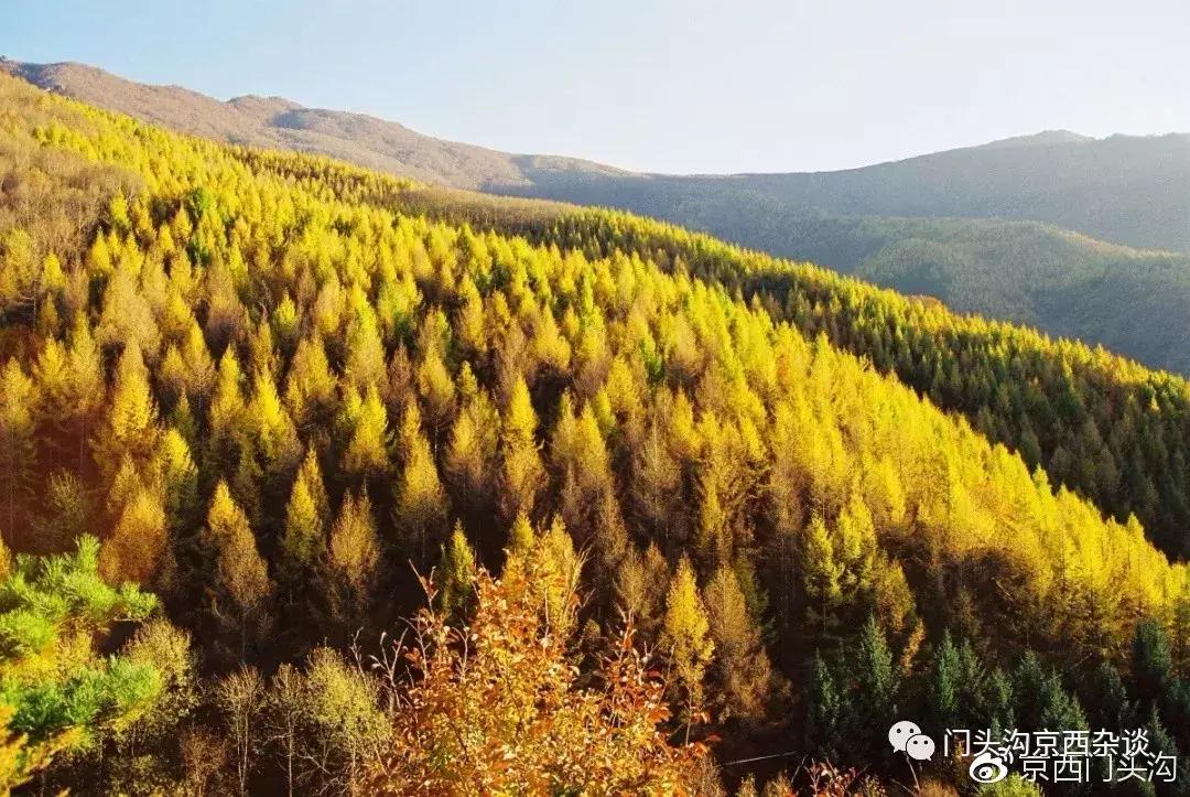 早知何必去香山,早知三清山何必去黄山