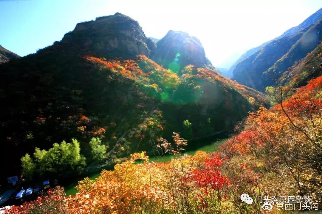 早知何必去香山,早知三清山何必去黄山