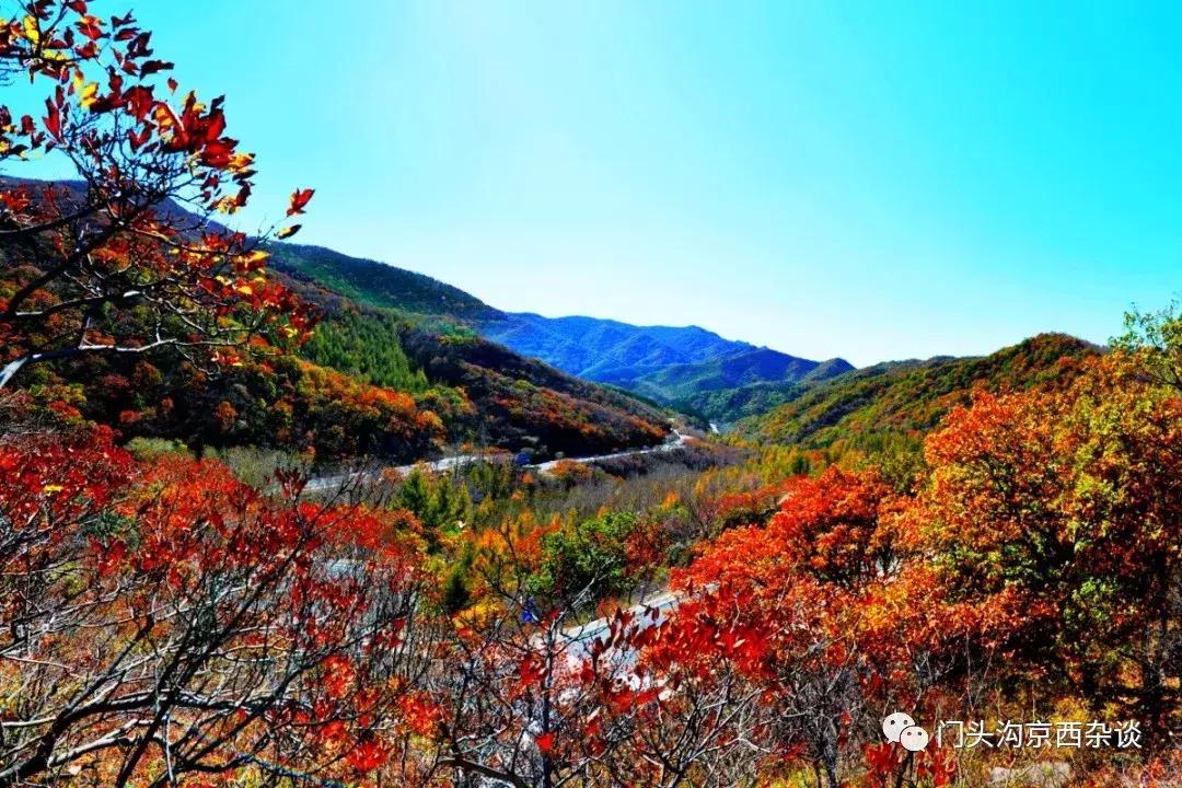 早知何必去香山,早知三清山何必去黄山