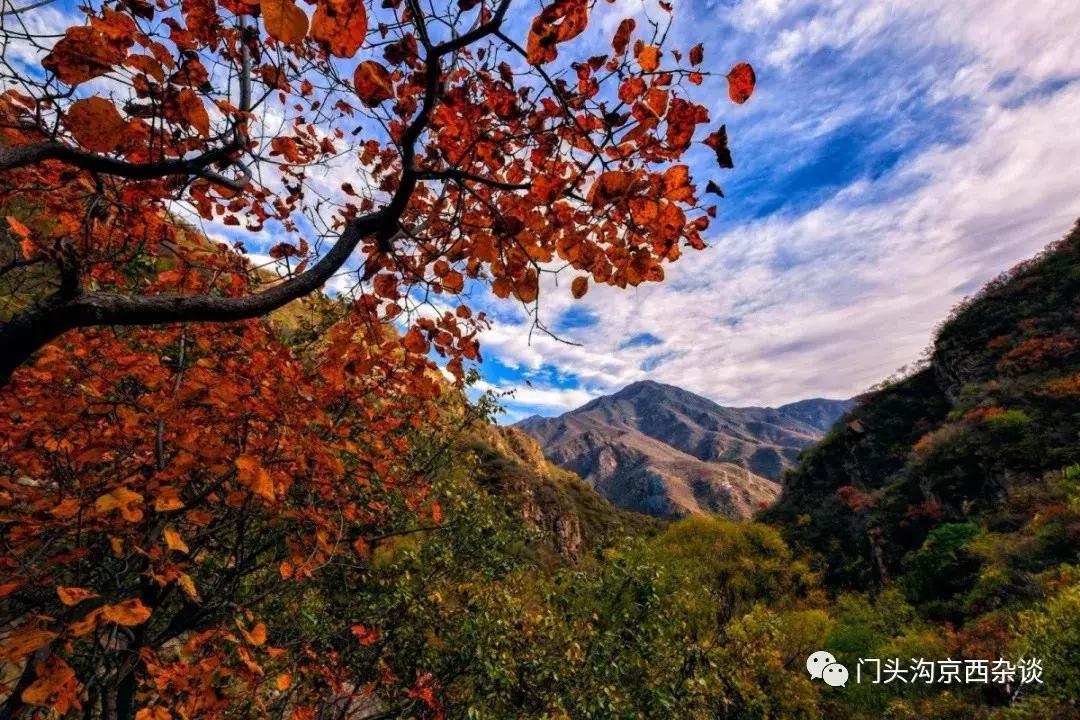 早知何必去香山,早知三清山何必去黄山