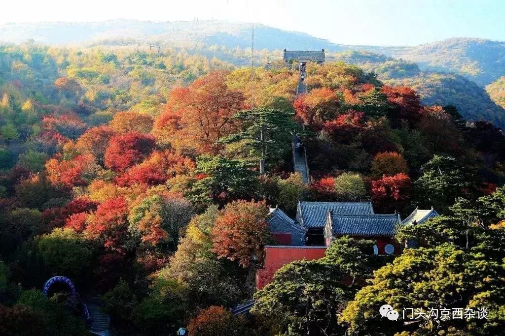 早知何必去香山,早知三清山何必去黄山