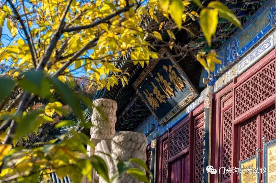 早知何必去香山,早知三清山何必去黄山