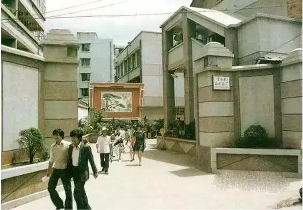 原国营四大茶厂现名字,云南茶厂历史