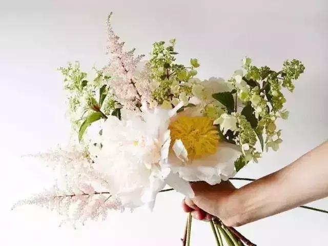 50种鲜切花花语大全,一定有你不知道的,赶紧收藏吧!