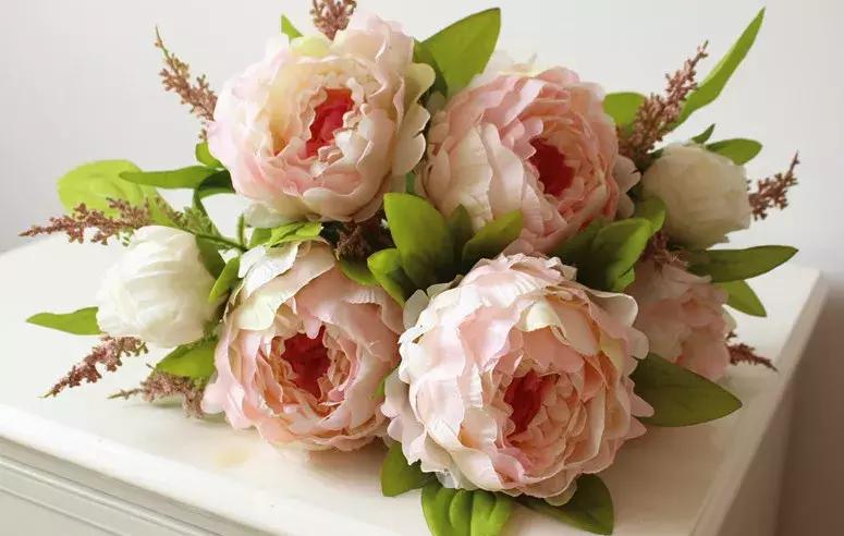 50种鲜切花花语大全,一定有你不知道的,赶紧收藏吧!