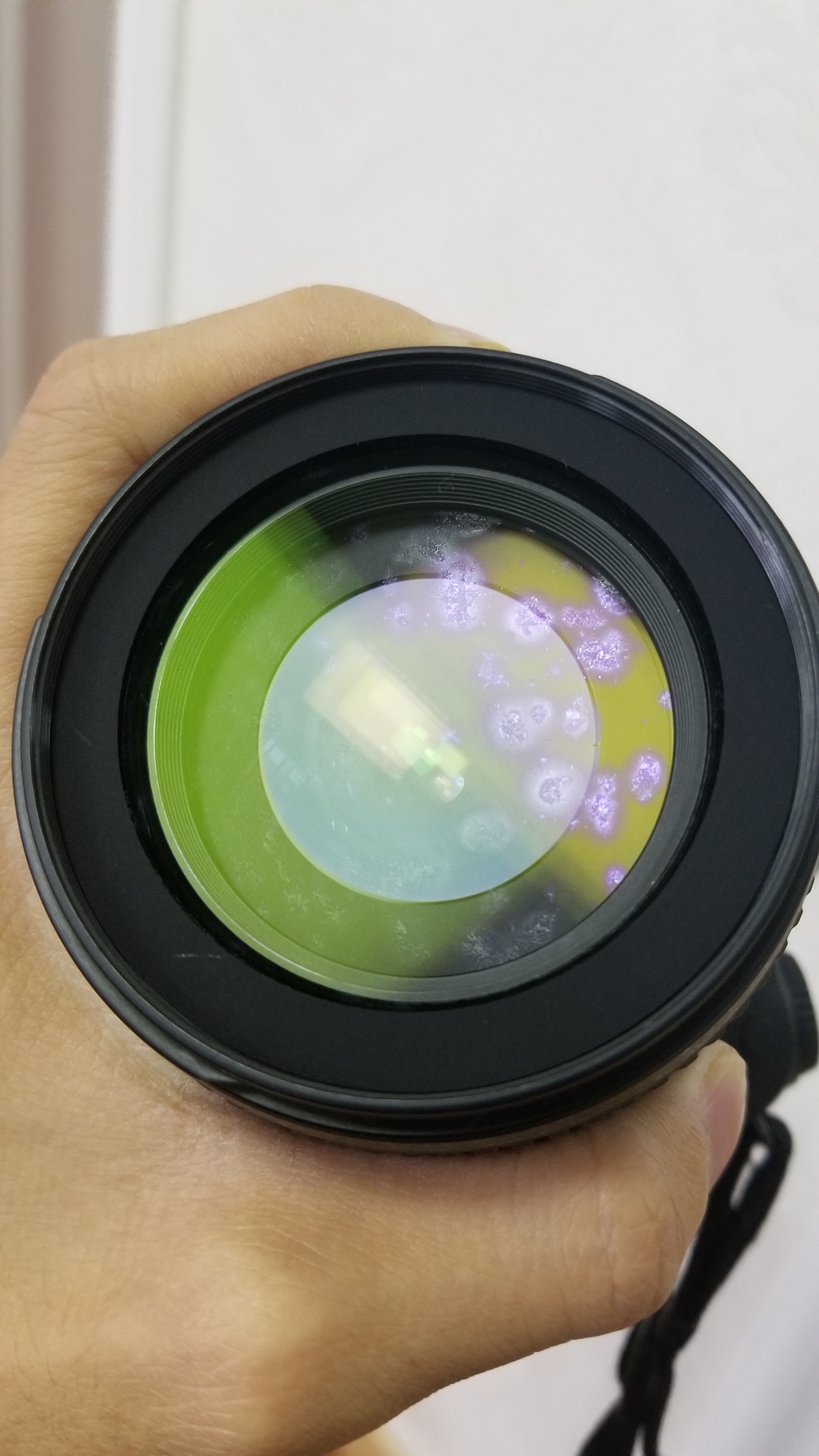 1000左右的二手单反套机推荐,五千预算尼康二手单反套机