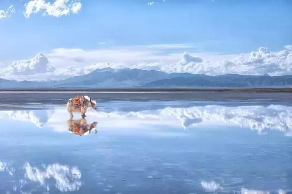 自驾游青海大环线路线图,青海自驾最佳路线图