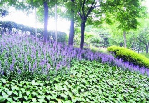 过度疲劳症的症状,长期疲劳综合征怎么治