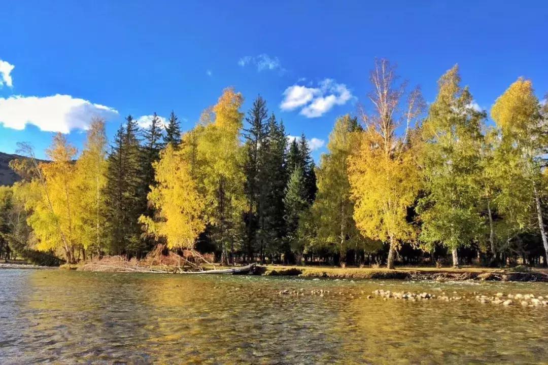 精神活性物质所致精神障碍是什么,精神活性物质所致精神障碍重点