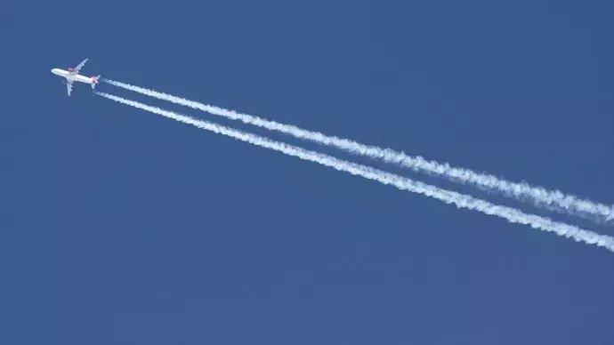 美国人智商欠费,川普带头追捧这个网红,结果全被骗