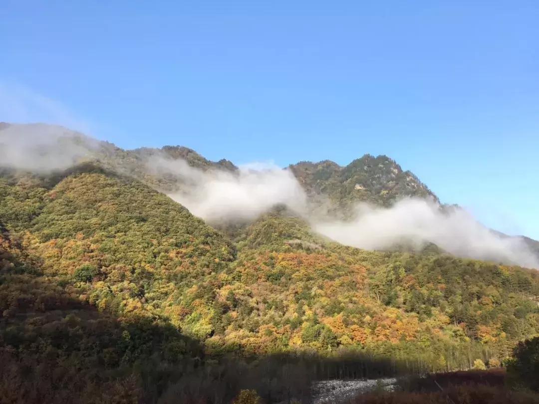 精神活性物质所致精神障碍是什么,精神活性物质所致精神障碍重点