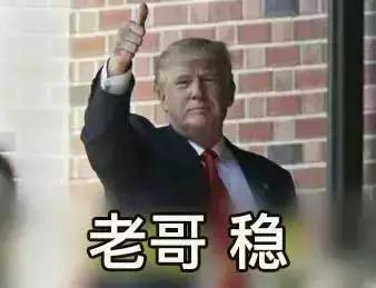 美国人智商欠费,川普带头追捧这个网红,结果全被骗