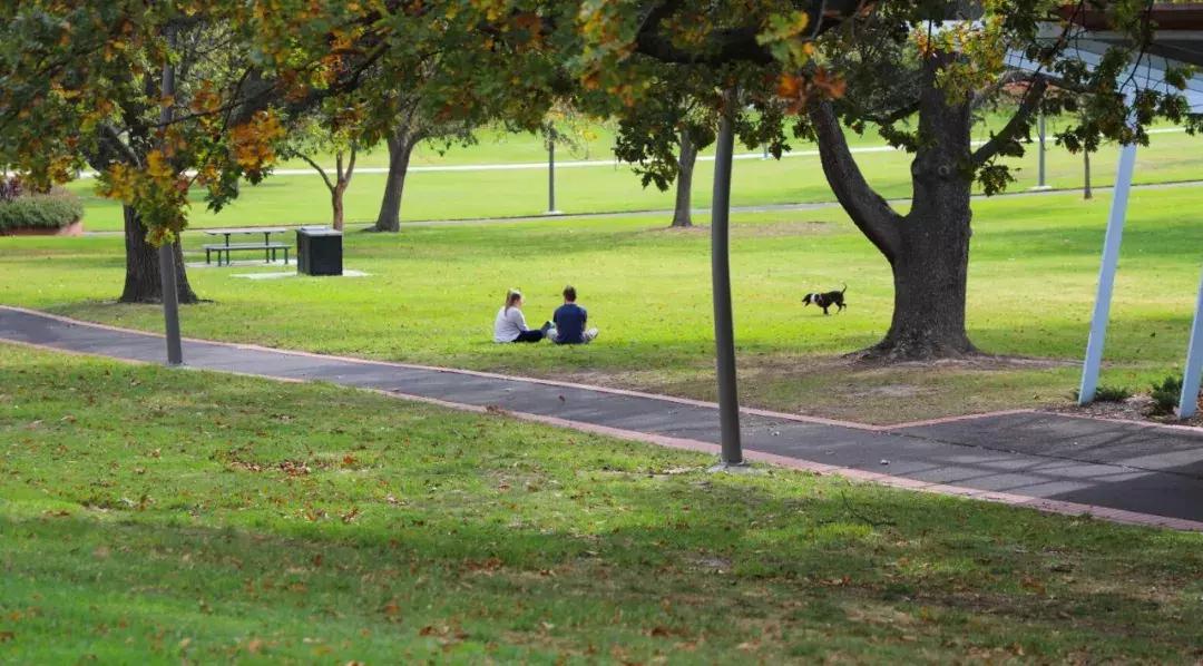 用这台3.0T的大宝马，来感受这座到处充斥着慢节奏的年轻城市