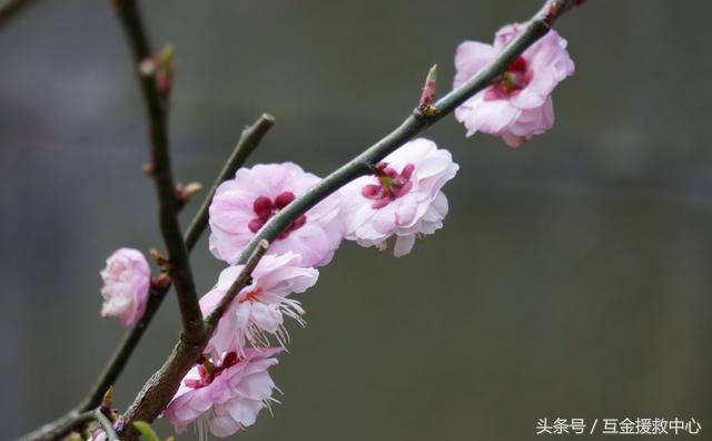 借钱不还的人心理,借钱的人不还钱心里是怎么想的