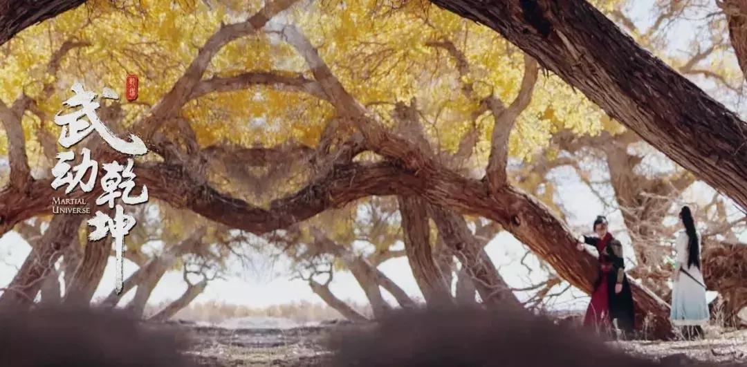 武动乾坤第一季,武动乾坤海外