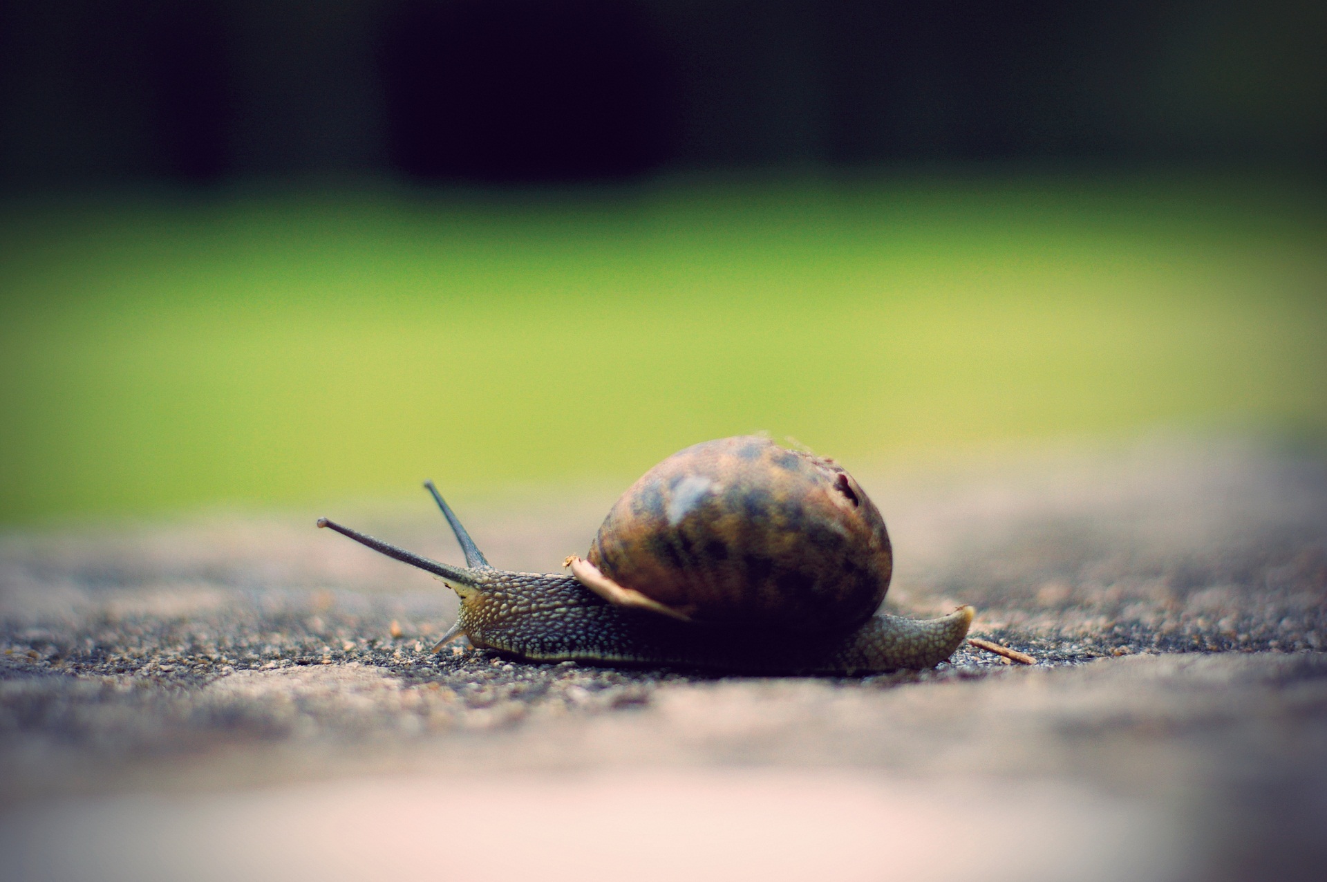 一个80后的青春往事全文,盘点80后校园同学间青春回忆录