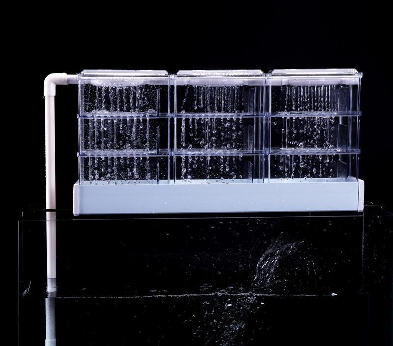 新手养龙鱼开缸及养水步骤,饲养龙鱼要什么缸底放鱼