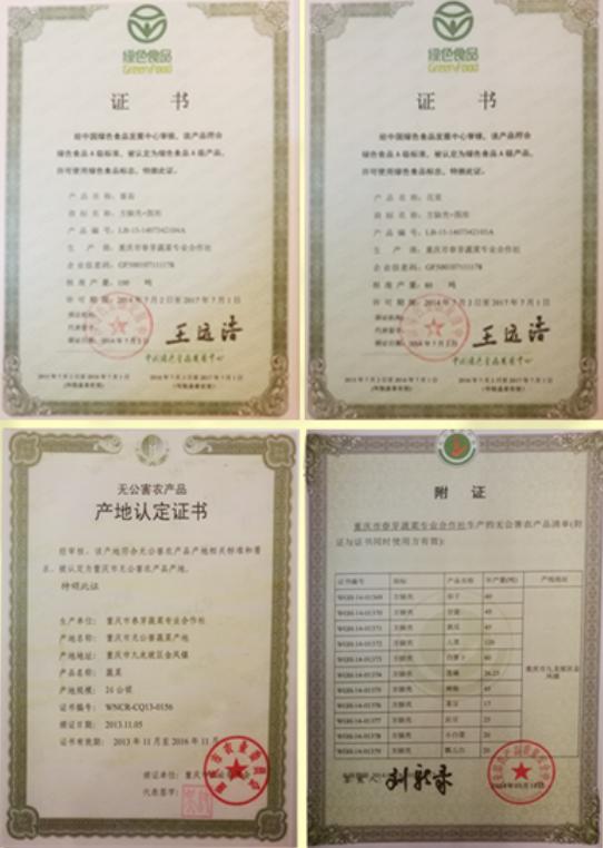 重庆火锅节有多少家知名火锅店,重庆火锅狂欢节