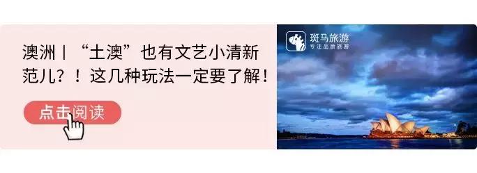 文末福利丨左手双11右手黑五,踩点扫货,这是钱包被掏空的feel~