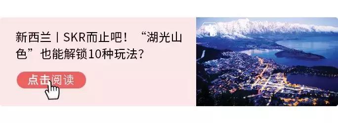 文末福利丨左手双11右手黑五,踩点扫货,这是钱包被掏空的feel~