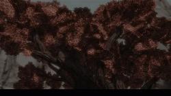 它曾被称为中国的火影如今却饱受非议，重温六年青春追寻的英雄梦