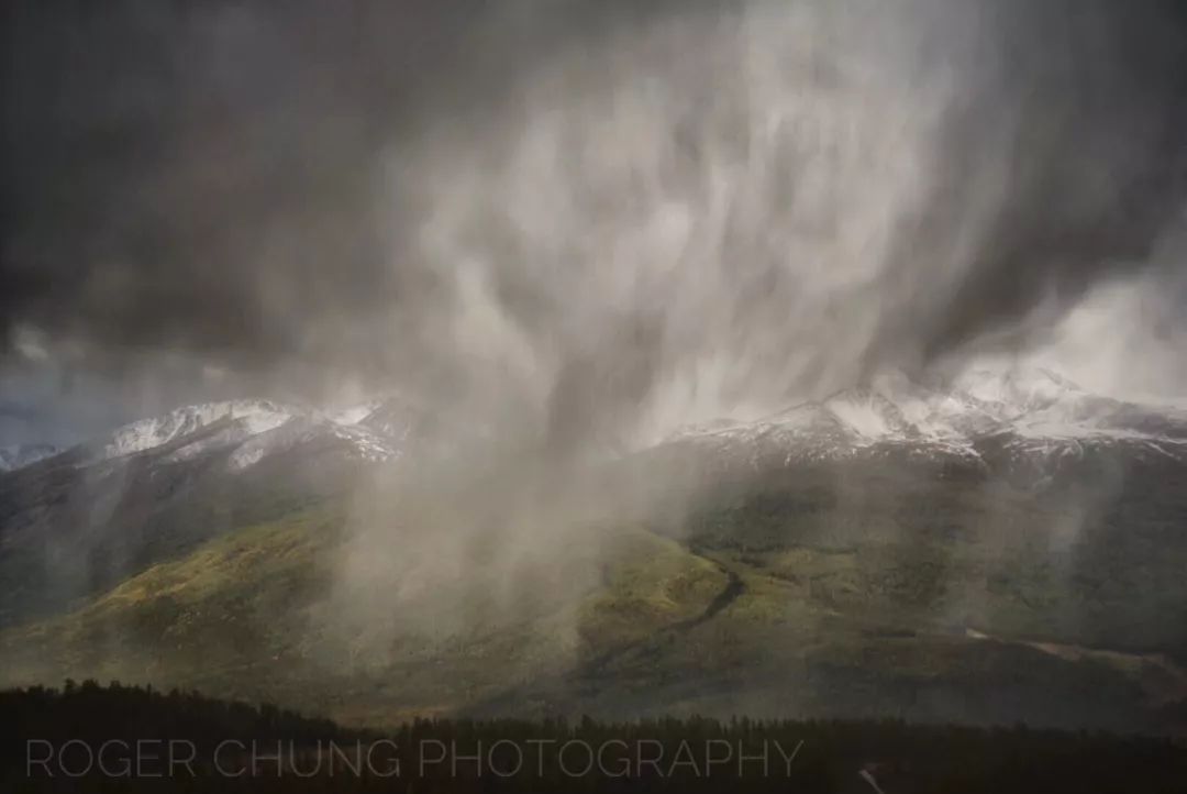 德勤女经理,德勤经理