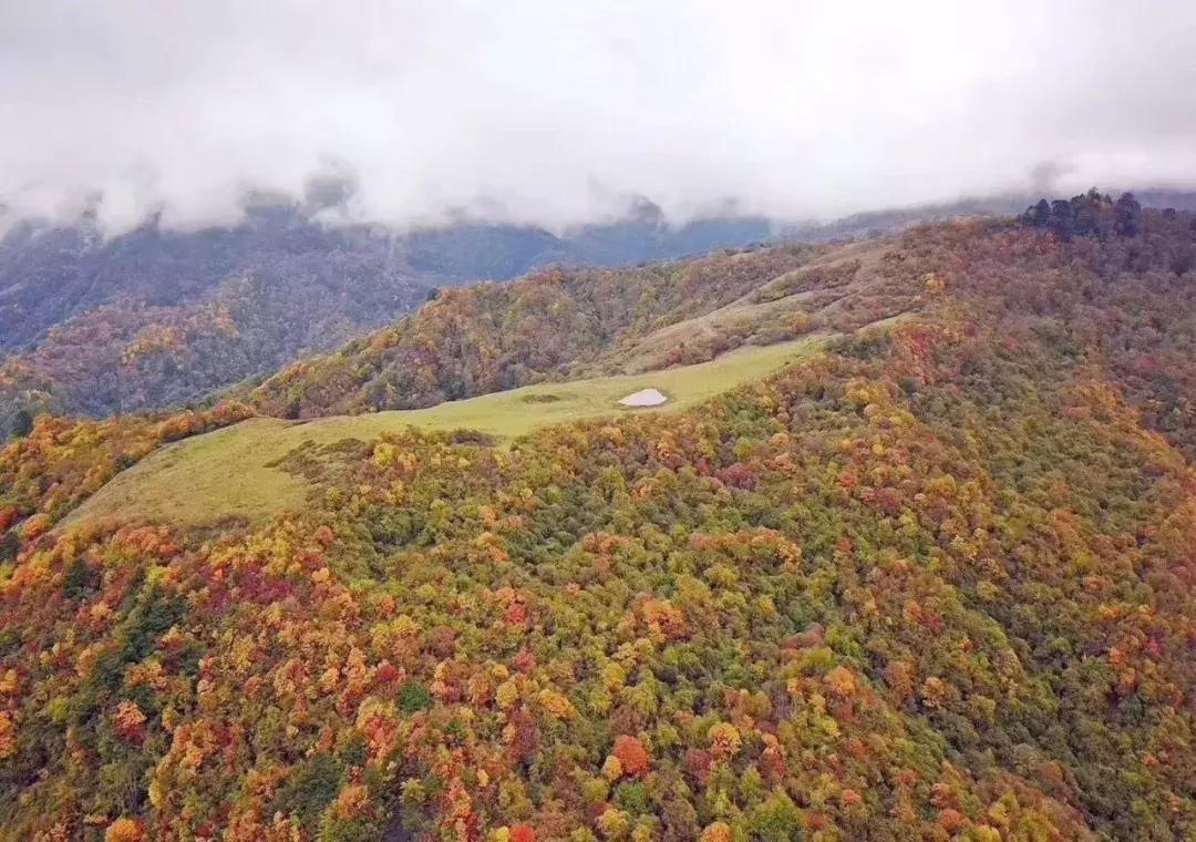阿坝赏秋一日游,带你看阿坝州秋天的美景