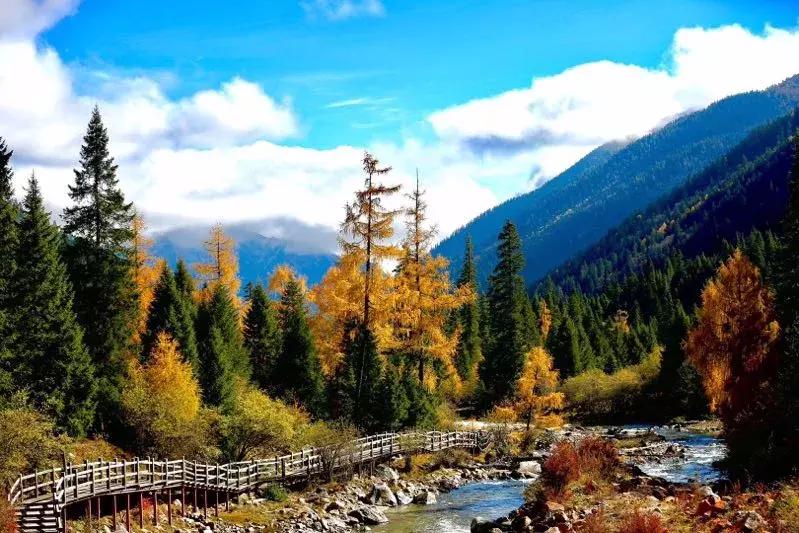 阿坝赏秋一日游,带你看阿坝州秋天的美景