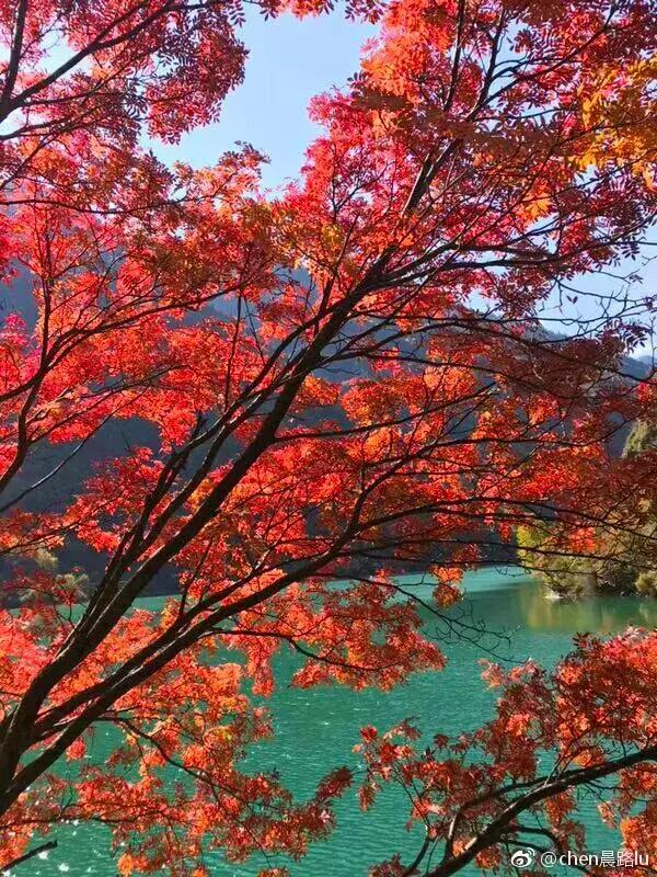 阿坝赏秋一日游,带你看阿坝州秋天的美景