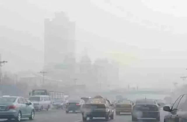 车里面进老鼠了怎么办,车内有老鼠尿味怎么办