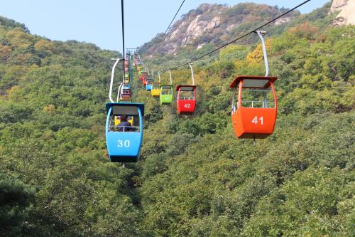 方言闹出的笑话：兔子们，虾米们，咸菜太贵，不要酱瓜，要猪蹄