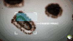 医美面膜背后的秘密？你敷的可能只是普通面膜！｜真假辨别