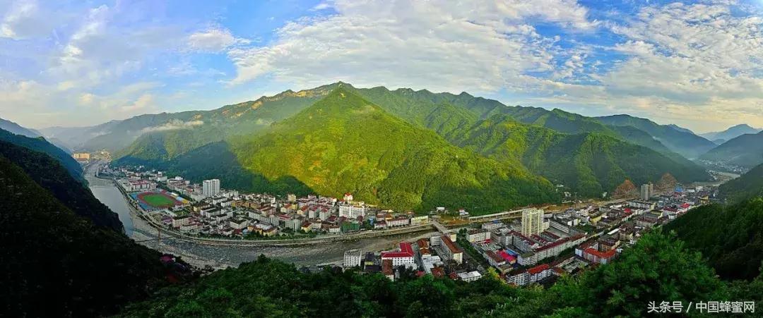 如何快速售出蜂蜜？来看看这招，打开致富新思路