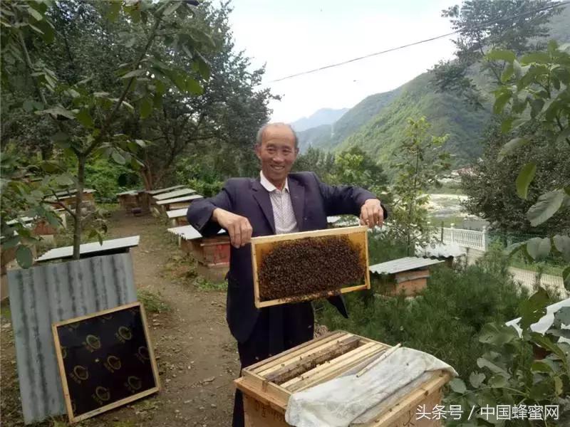 如何快速售出蜂蜜？来看看这招，打开致富新思路