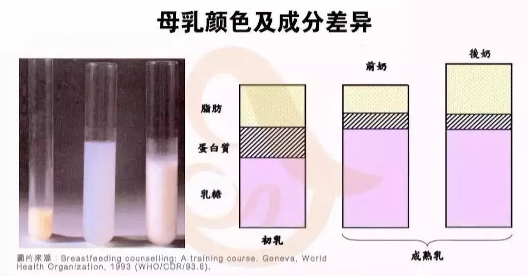 母乳变清有没有营养,母乳越清越没有营养么