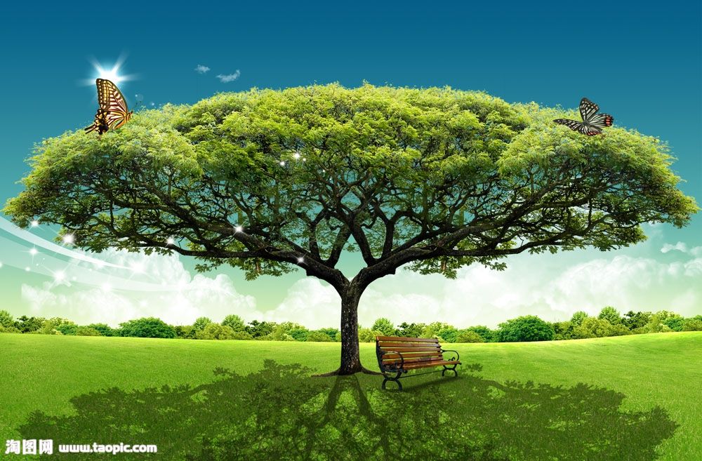 中考优秀作文自我介绍,自我介绍小学生优秀作文