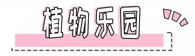 sk-ii哪个单品好用,skii最好用的护肤品推荐