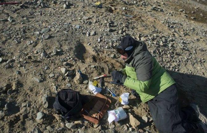 恐龙确实遍布世界各地由何而来,肉食性恐龙一般生活在哪个时代